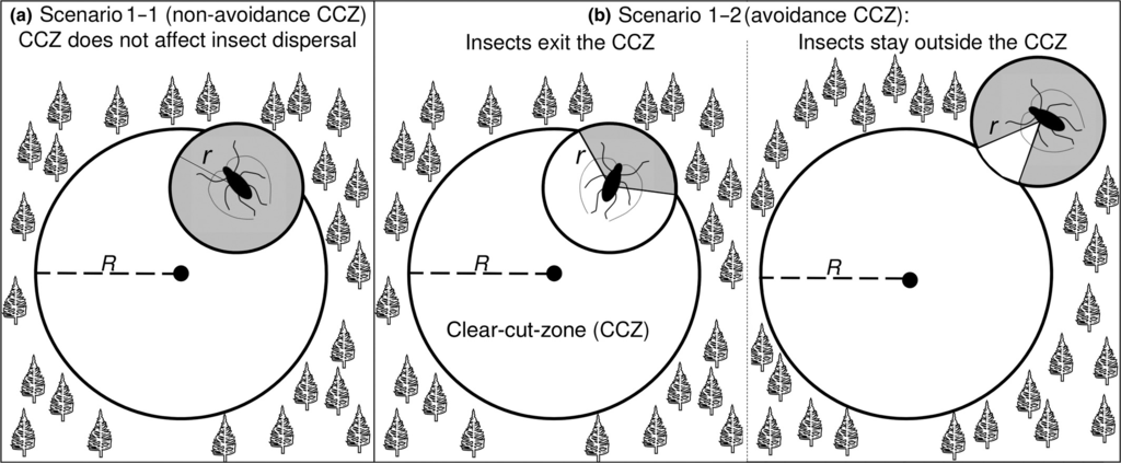 Homed New Research Questions The Effectiveness Of Clear Cutting For Eradicating Pine Wood Nematode