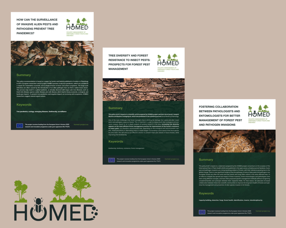 HOMED's collection of policy briefs